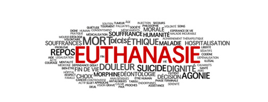 Résultat de recherche d'images pour "euthanasie"